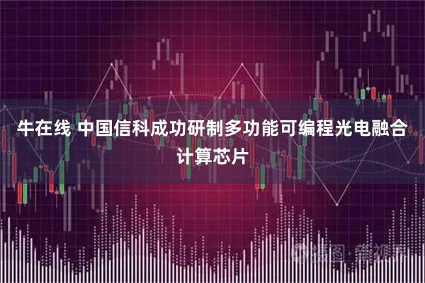 牛在线 中国信科成功研制多功能可编程光电融合计算芯片